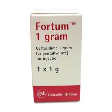 FORTUM 1G