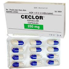 Ceclor 250mg Capsule H/12 v
